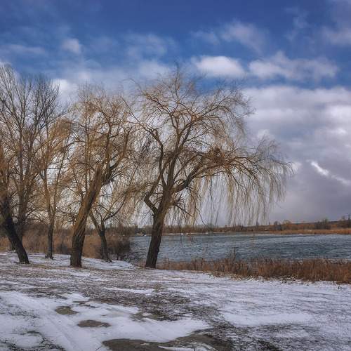 Photo #11530849