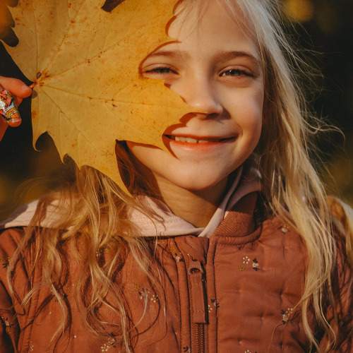 Photo #11530992