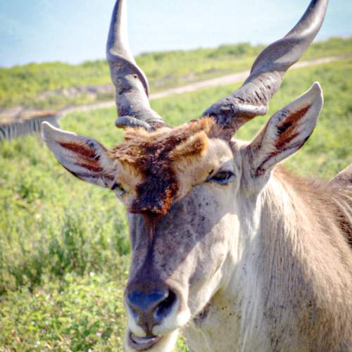 Photo #11531479