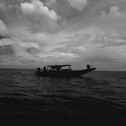 Photo #11531665
