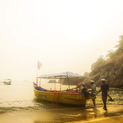 Photo #11532350