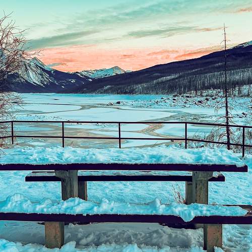 Photo #11532372