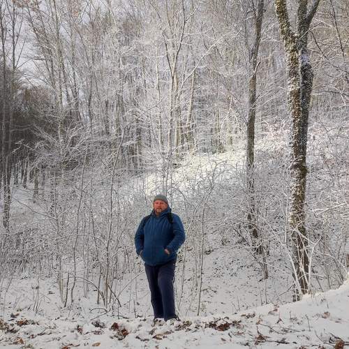 Photo #11532704