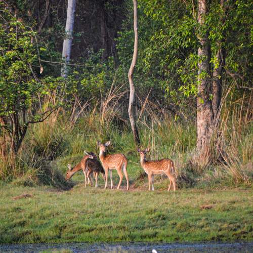 Photo #11532907