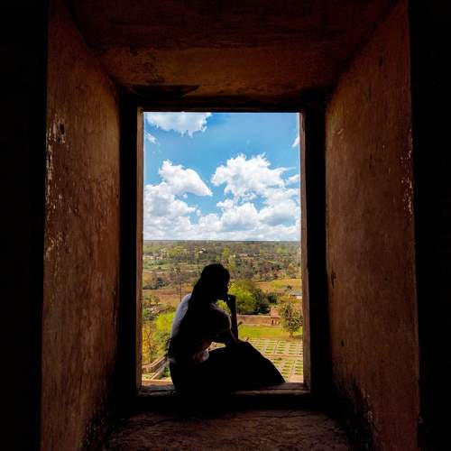 Photo #11533026