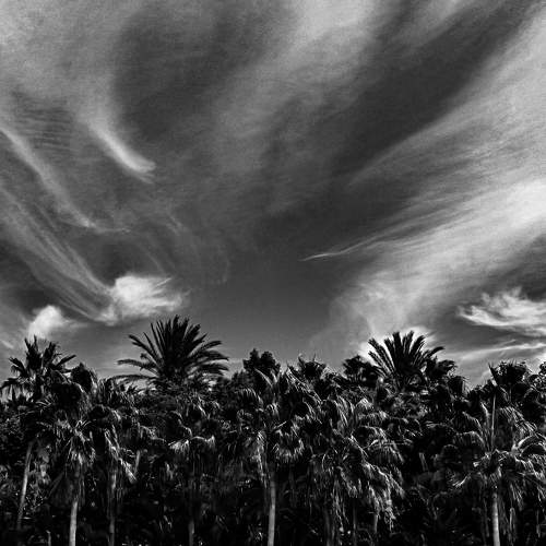 Under the sky
