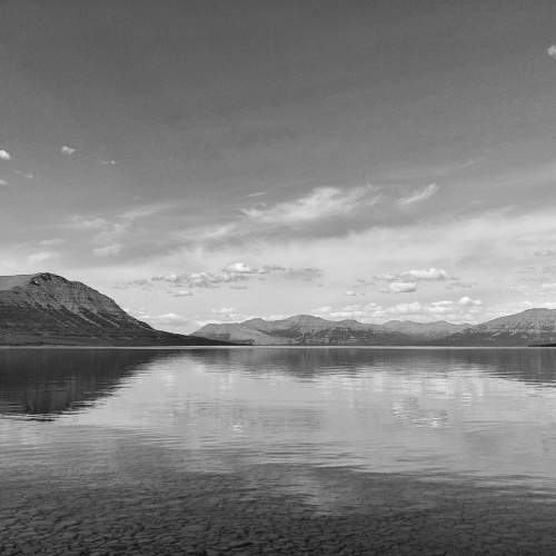 Photo #11533063