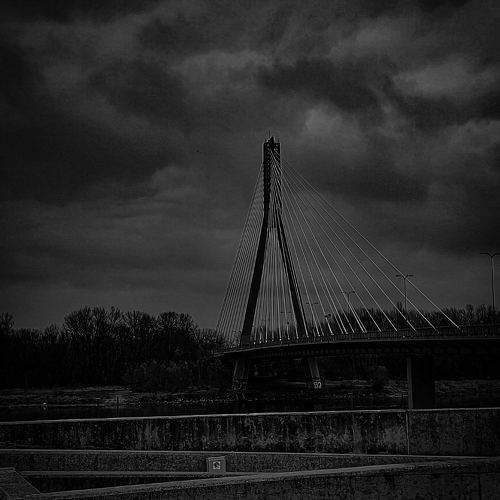Photo #11533088