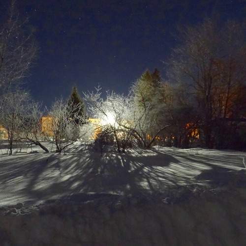 Photo #11533196