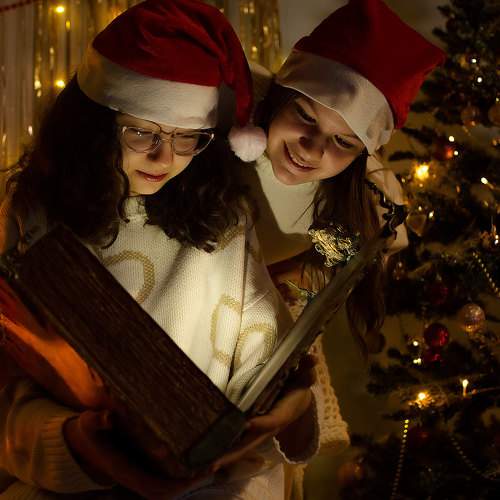 Photo #11533248