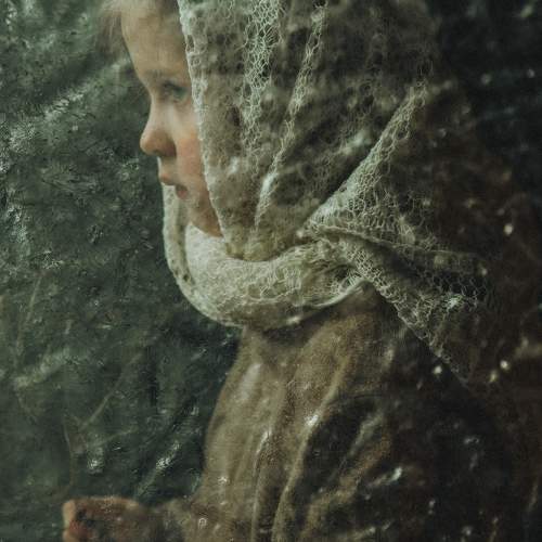 Photo #11533341