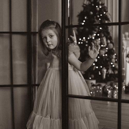 Photo #11533355