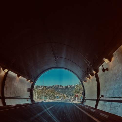 Photo #11533520
