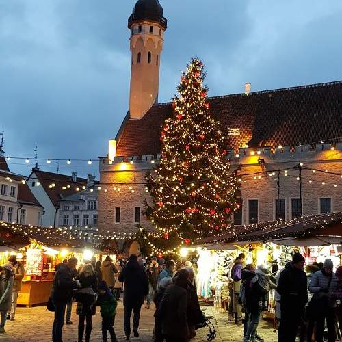 Photo #11533789