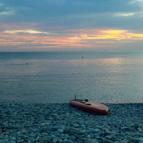 Photo #11533947