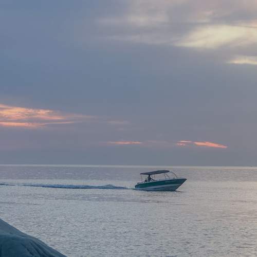 Photo #11533948