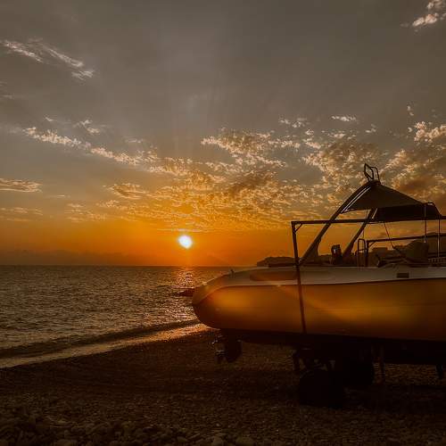 Photo #11533949