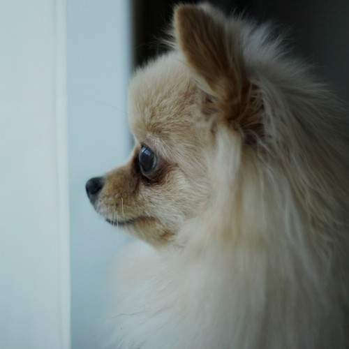 Photo #11534258