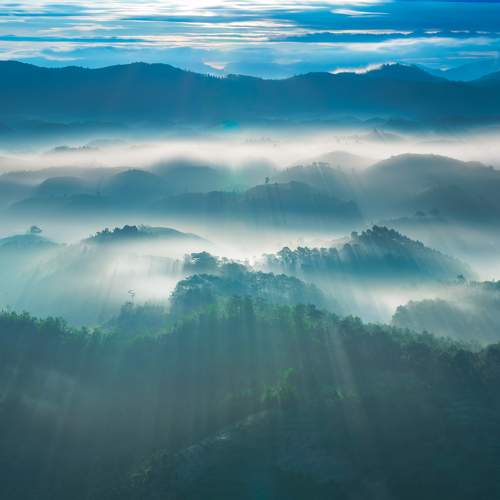 Long Quan Lai tran