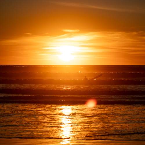 Photo #11534640