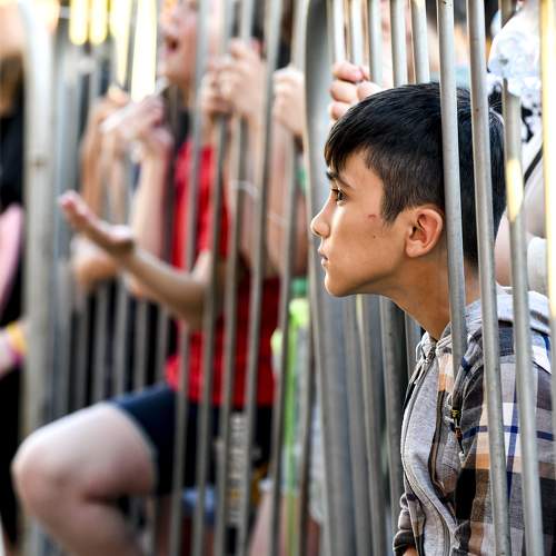 Photo #11535329