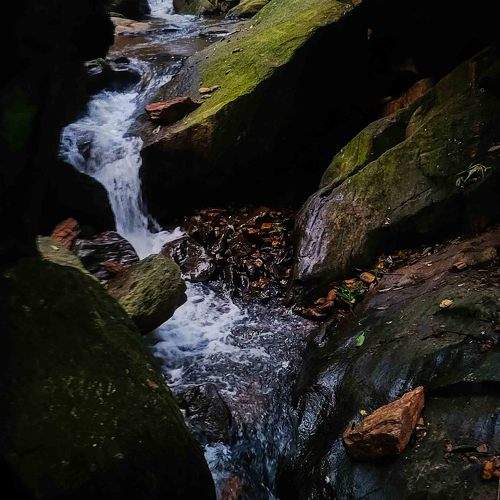 The Hidden Gem: A Walk by the Stream