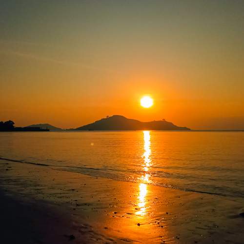 Photo #11535848