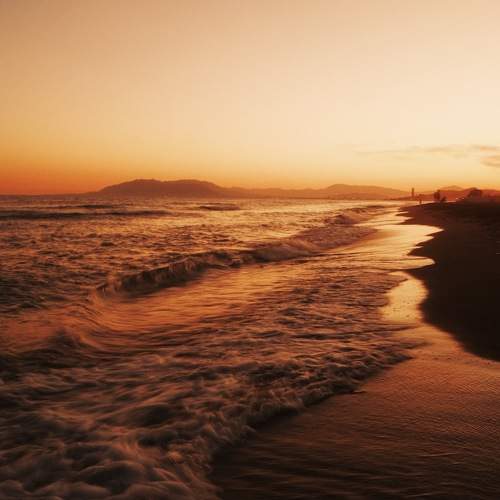 Photo #11536047