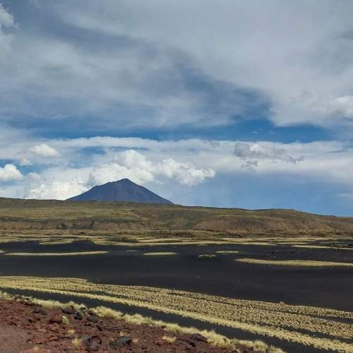 Photo #11536222