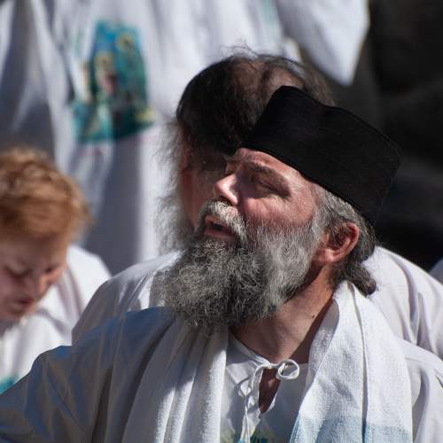 Photo #11536387
