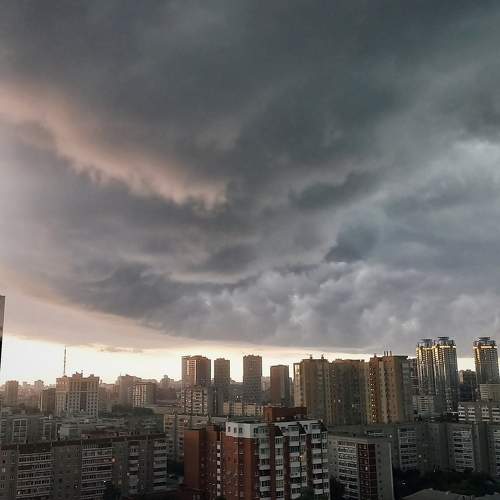 Photo #11536671