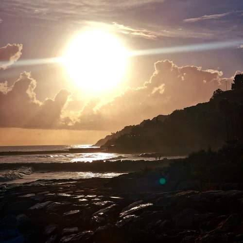 Photo #11536752