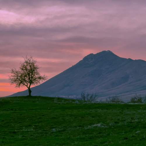Photo #11536781