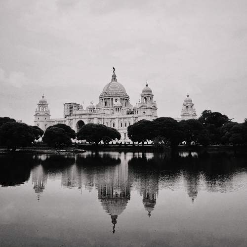 Photo #11536872