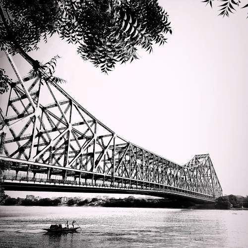 Photo #11536885