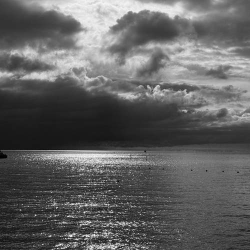 Photo #11537018