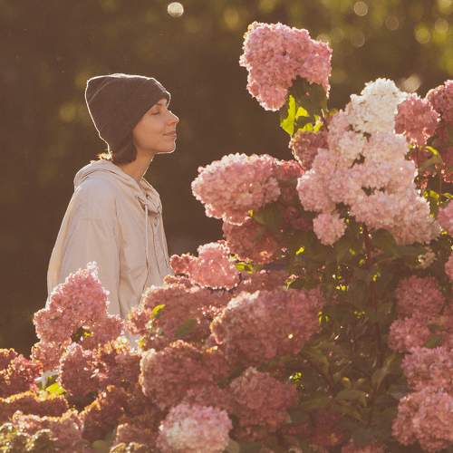 Photo #11537123