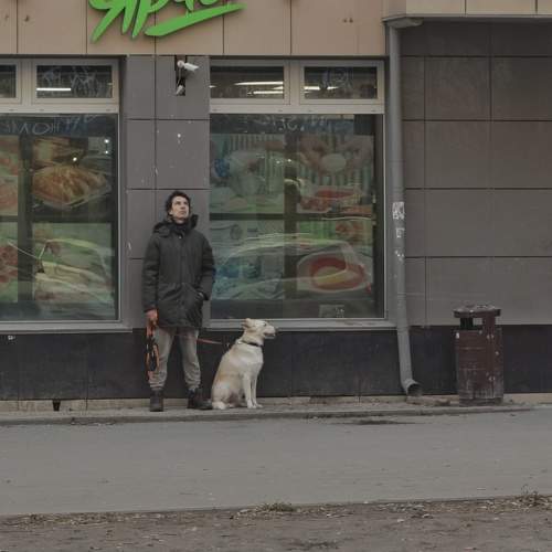 Photo #11537371