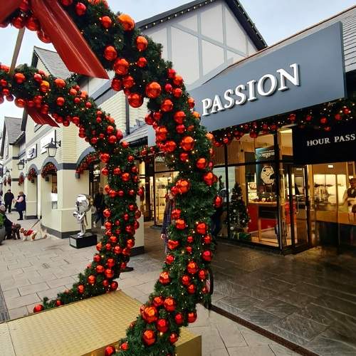 Photo #11538010