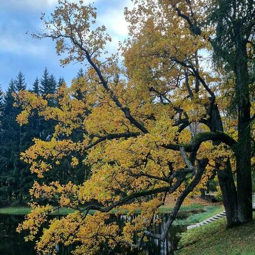 Photo #11538618