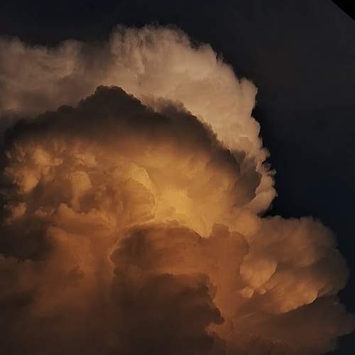 Photo #11538655