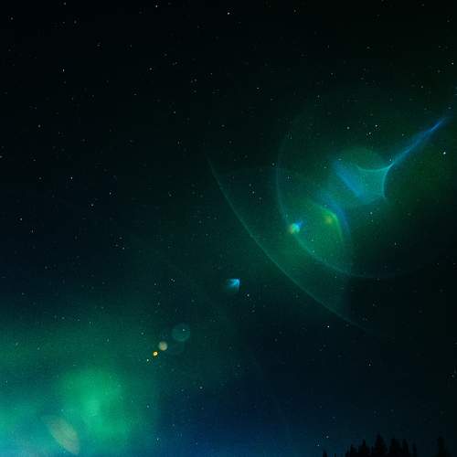 Фотография #11538846