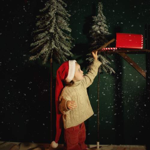 Photo #11538918