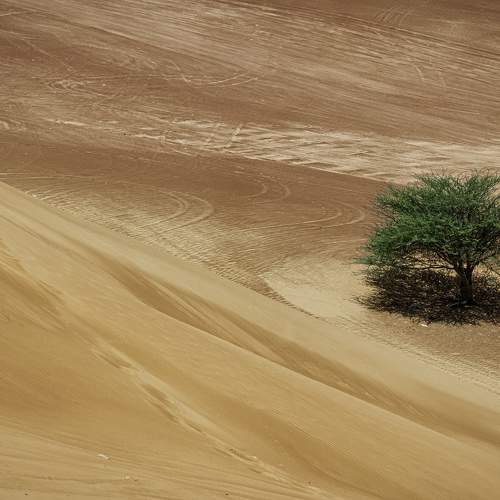 Photo #11539284
