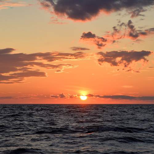 Photo #11539429