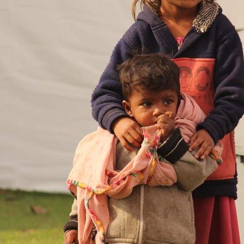 Photo #11539605