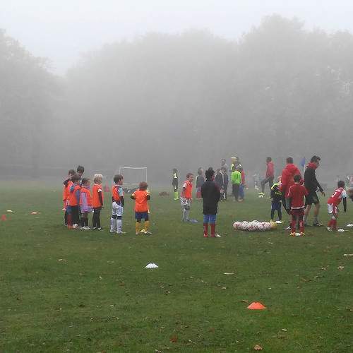 Photo #11539608