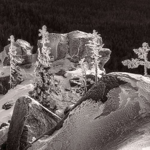 Photo #11539784