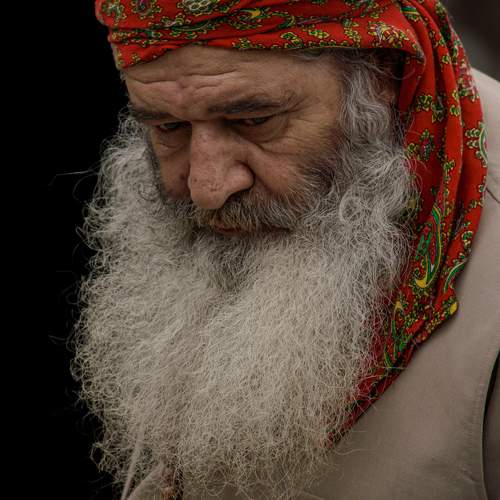 Photo #11539841