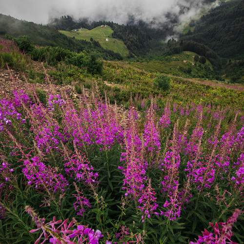 Photo #11539917